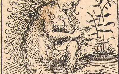 Hirsutismus – Ursachen, Symptome, Online-Diagnose & Therapie